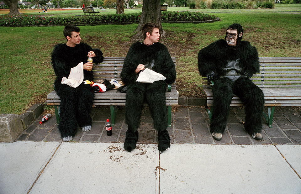 Drei Männer sitzen in einem Affenkostüm auf einer Parkbank. Melbourne, Straßenfotografie von Jesse Marlow.
