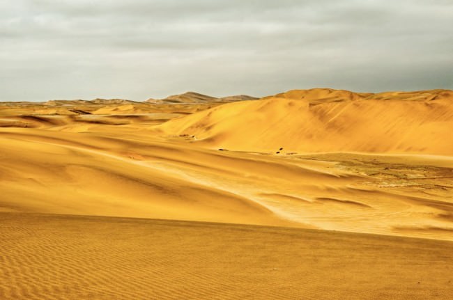 Gelbe Wüste.