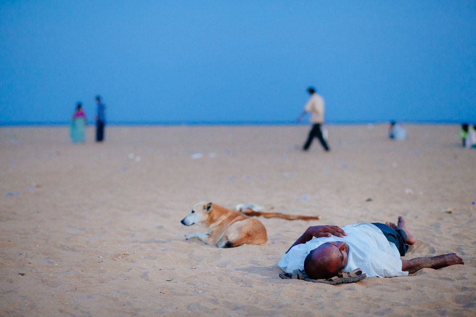 Hund und Mensch am Strand
