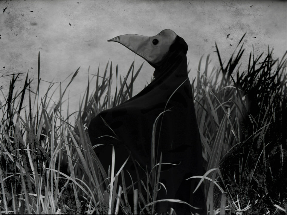 Ein Vogelmann im hohen Gras.