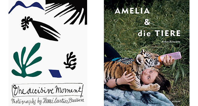 Amelia und die Tiere - Der entscheidende Augenblick