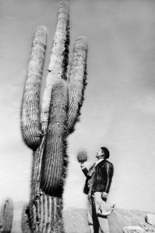 Ein Mann steht vor einem Kaktus