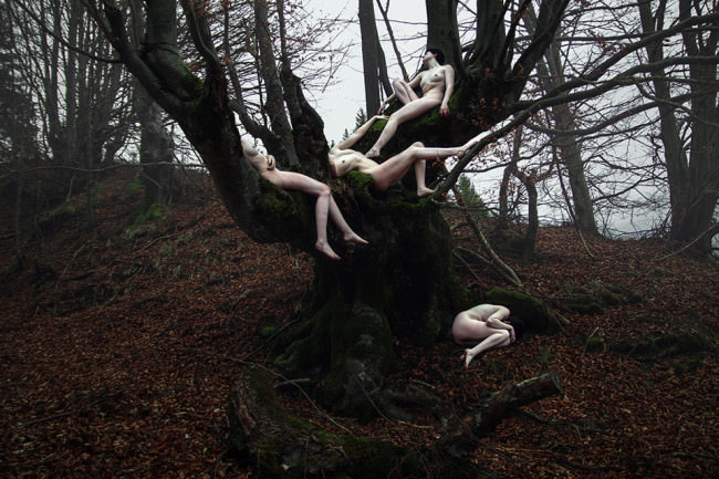Nackte Frauen liegen und hängen an einem Baum.