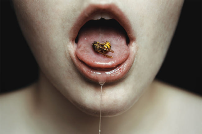 Ein Mund mit ausgestreckter Zunge, auf der eine tote Wespe liegt.