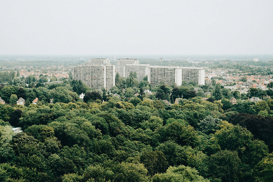 Blick auf eine große Wohnsiedlung zwischen Bäumen.