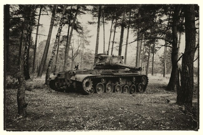 Ein Panzer im Wald.