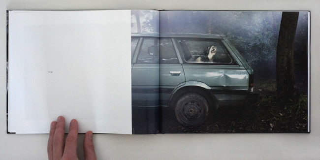 The silence of dogs in cars | © Martin Usborne