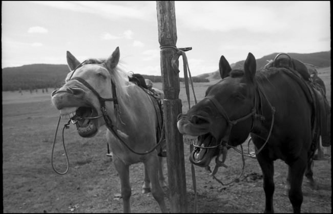 Mongolia 2012 © Przemek Strzelecki