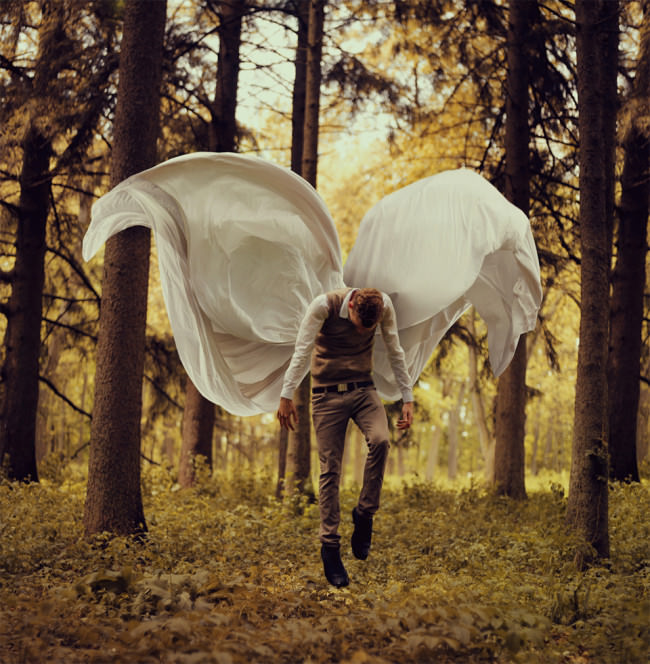 Fragile Wings – Kyle Thompson