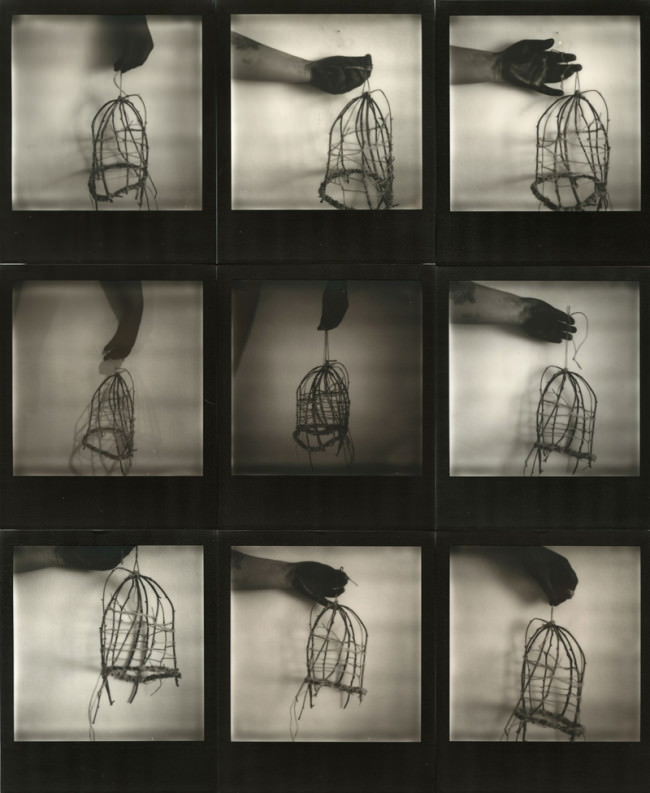 black hand - cage © Birgit Zartl