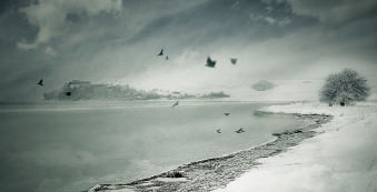 Snow Birds © Jana Mänz