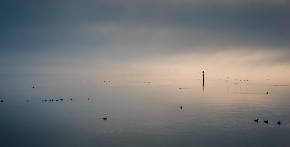 Birds and such in the morning © Philipp Hilpert