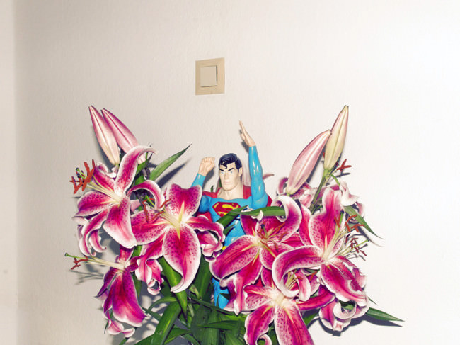Ein Strauß pinker Lilien mit einer Plastikfigur von Superman steht vor einer Raufaser-Wand mit Lichtschalter.