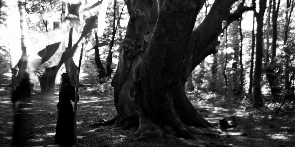 Ein Mädchen in langem schwarzen Kleid mit Holzkrone und Stab steht vor einem großen Baum in einem Wald, über ihr Lichtreflexionen.