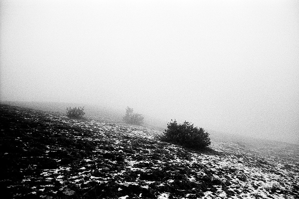 Karge Landschaft im Nebel.