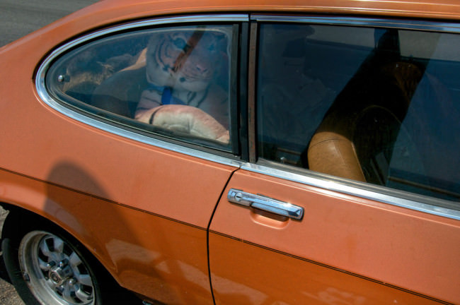 Stofftiger auf dem Rücksitz eines Autos.