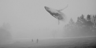 Zwei Personen stehen auf einem Feld, über dem ein Wal fliegt.