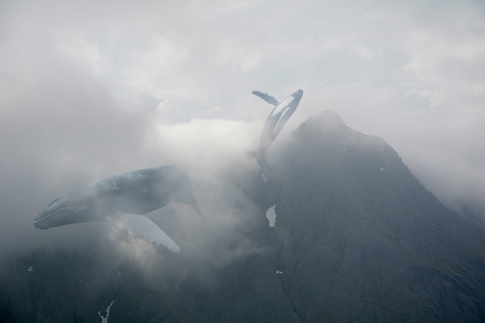 Zwei Wale fliegen in den Wolken über einem Berg.