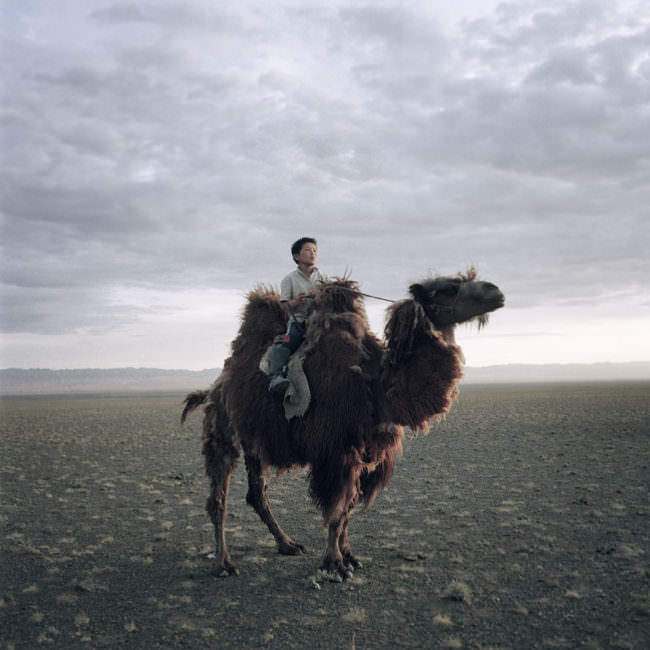 Ein mongolische Junge sitzt auf dem Rücken eines Kamels und schaut in die Weite der Steppe.