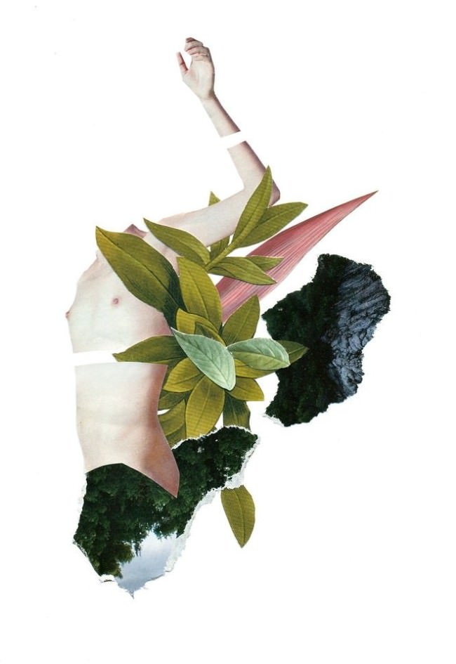 Collage aus einem nackten weiblichen Oberkörper und Blättern.