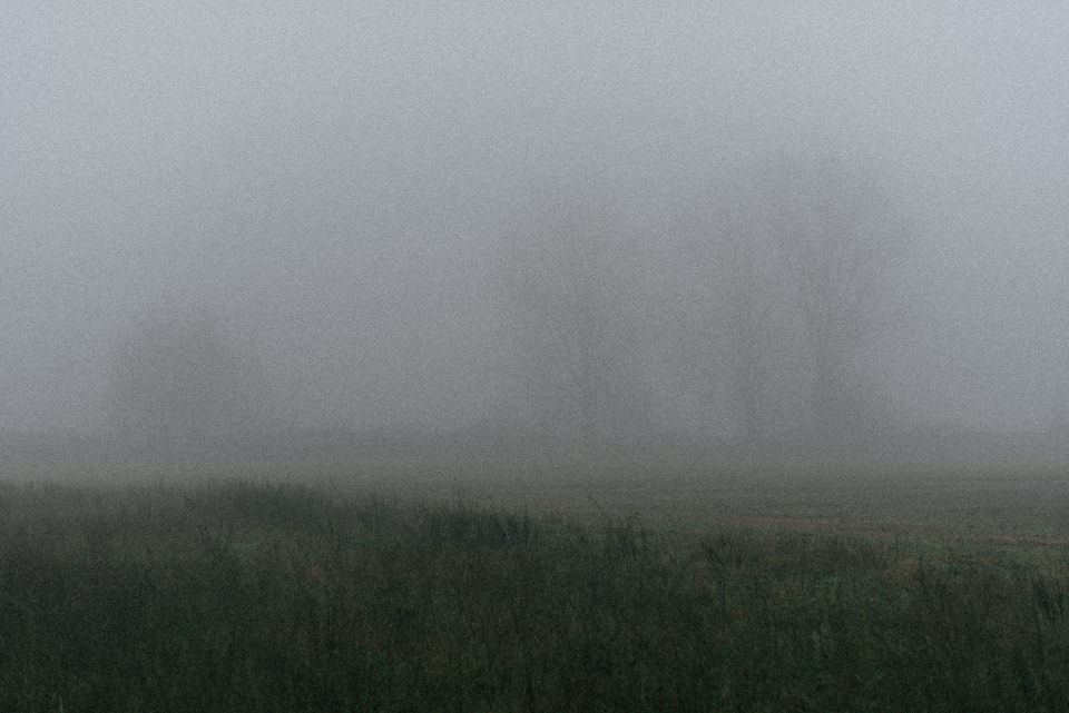 Felder im Nebel