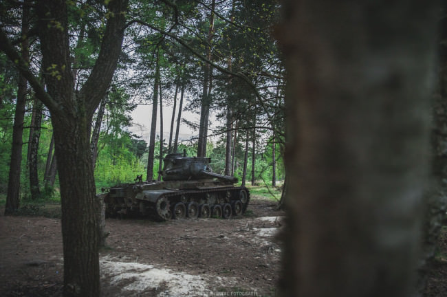 Ein Panzer im Wald.