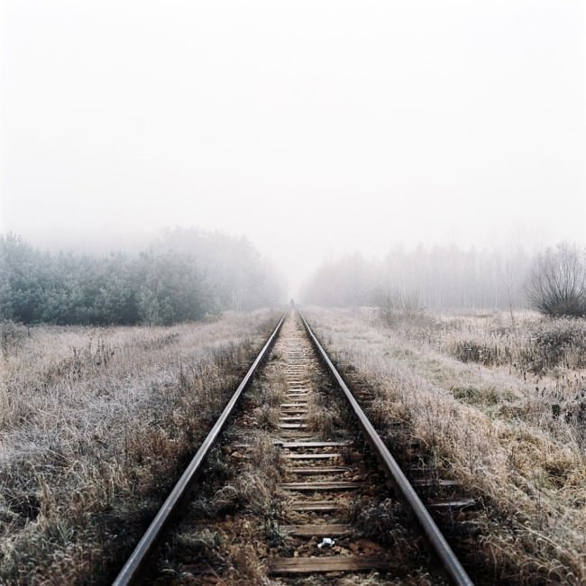 Gleise, die über ein struppiges Feld in den Nebel führen.