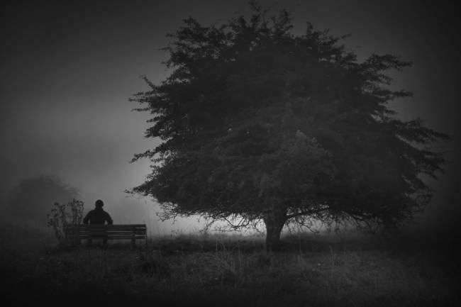 Ein Mann sitzt auf einer Bank, welche neben einem Baum steht.