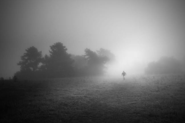 Nebel, Feld und Wald.