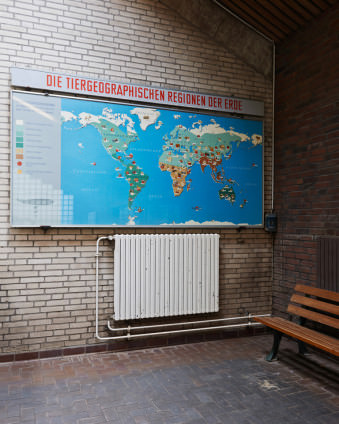 Weltkarte an einer gemauerten Wand