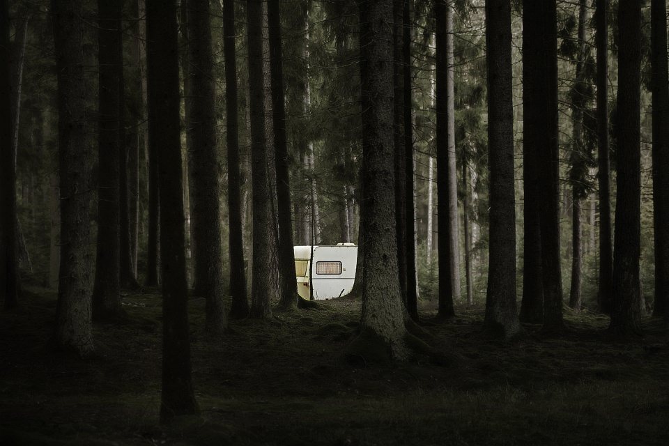 Ein Wohnwagen schimmert zwischen vielen Bäumen eines hochgewachsenen Waldes hindurch.