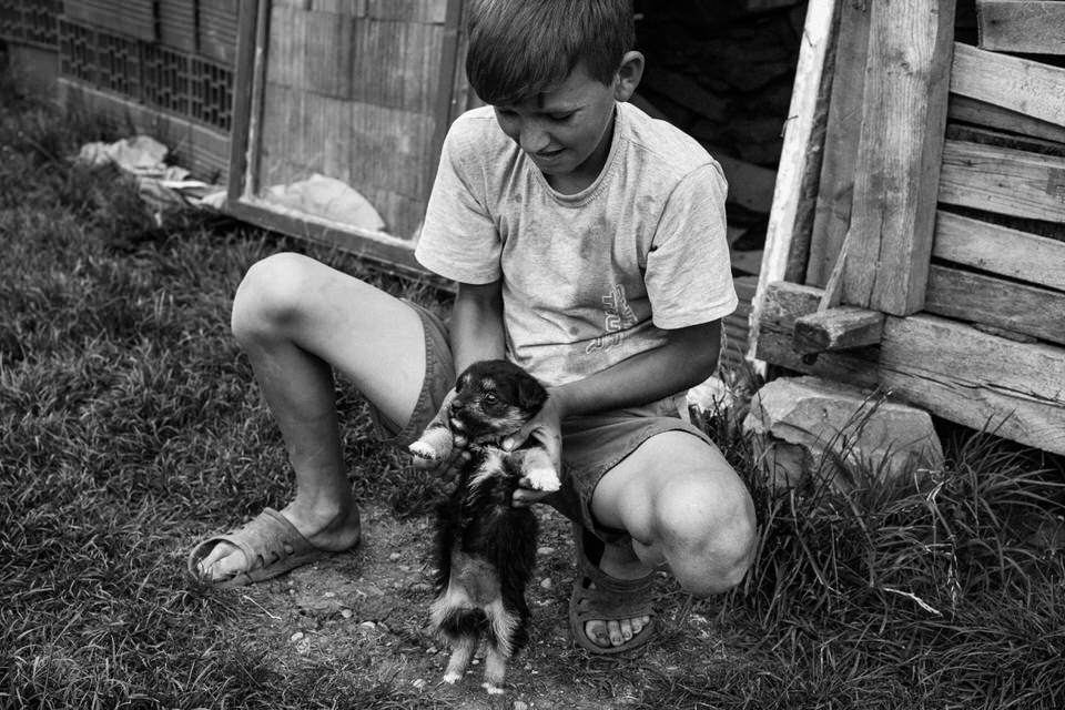 Ein Junge spielt mit einem Hündchen. 