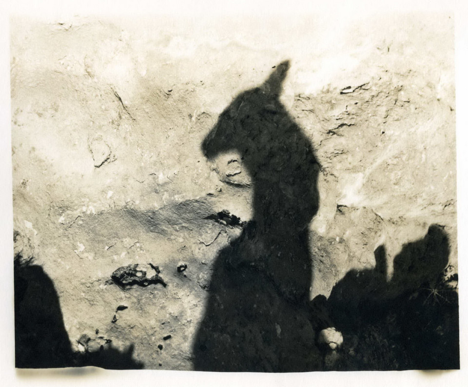 Schatten eines Tieres an einer Felswand.
