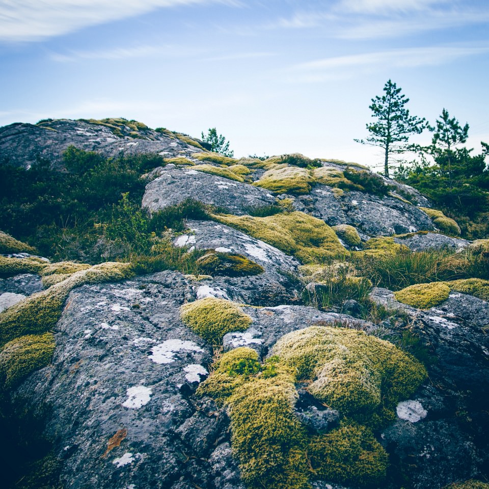 Landschaft mit moosbewachsenen Felsen.