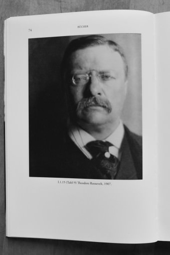 Portrait von Theodore Roosevelt