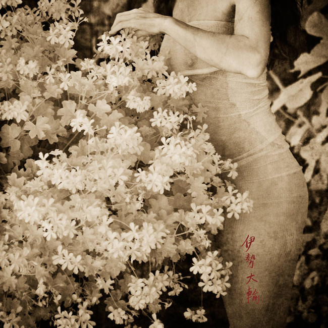 Weiblicher Akt mit Blüten.