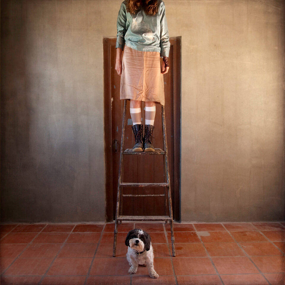 Eine Frau steht auf einer Leiter, ein Hündchen sitzt darunter.