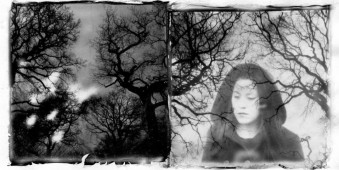 Schwarzweiss Doppelbelichtung von Bäumen und einem Portrait
