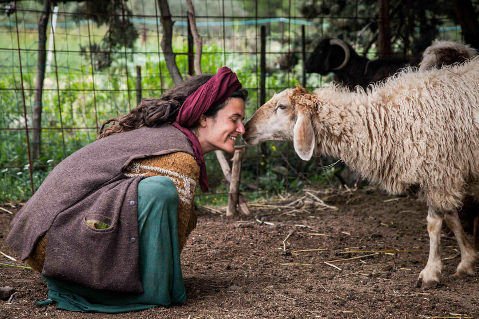 Eine Frau und ein Schaf vor einem Zaun