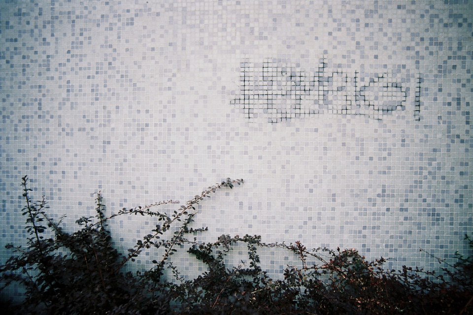 Mosaikkacheln an einer efeubewachsenen Wand.