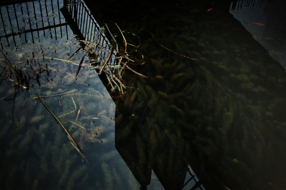 Spiegelungen auf der Wasserobefläche, daneben ein Geländer.