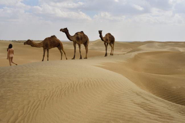 Eine nackte Frau und Kamele in einer Wüste.