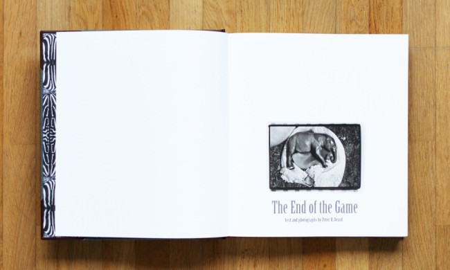 Doppelseite in „The End of the Game“ von Peter Beard
