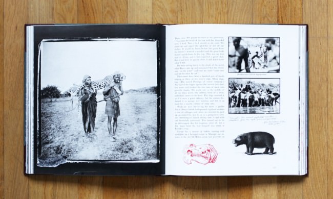 Doppelseite in „The End of the Game“ von Peter Beard