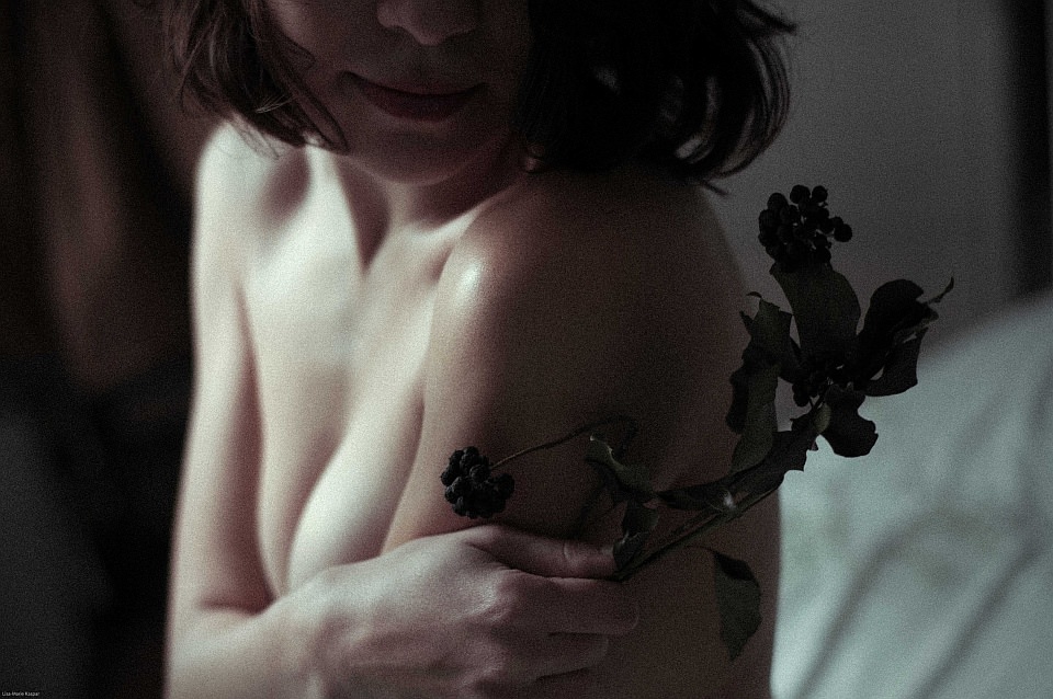 Weiblicher Akt mit Gesicht im Dunkeln und einer getrockneten Pflanze.
