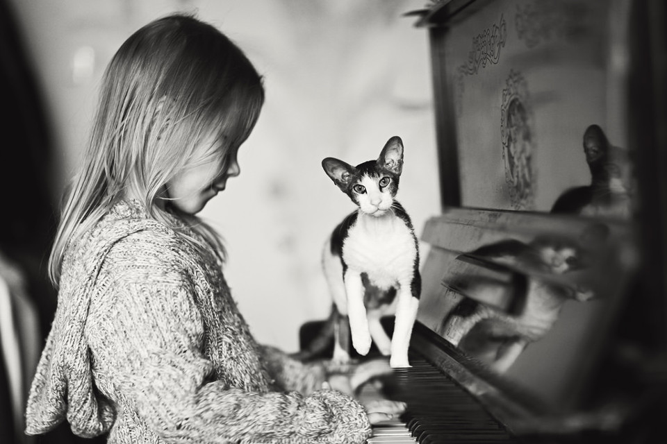 Schwarzweißfoto eines Mädchens am Klavier, über das eine Katze läuft.