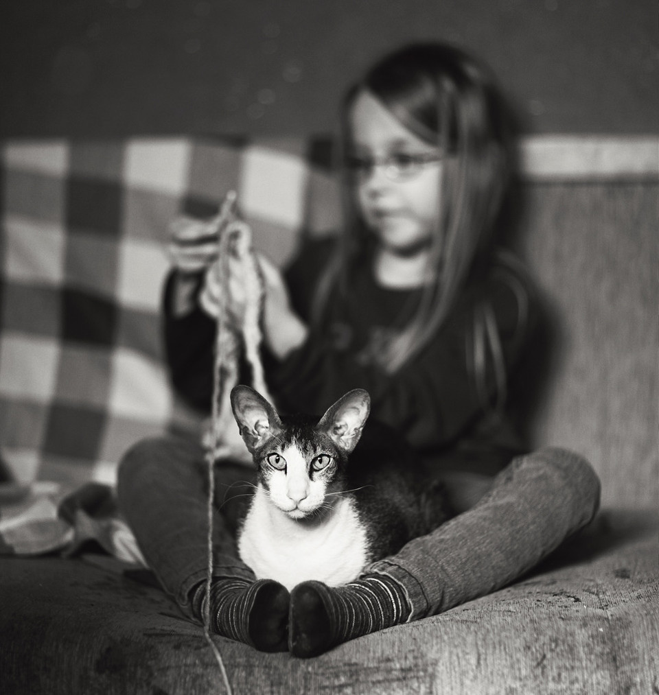 Schwarzweißfoto eines Mädchens beim Stricken, mit einer Katze auf dem Schoß.