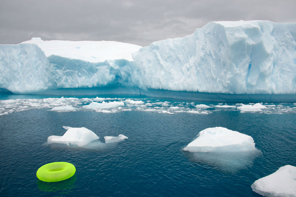 Ein grüner Badereif treibt vor einem Eisberg im Meer.
