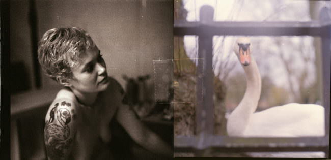 Ein Schwarzweißfoto einer nackten Frau mit Vogeltattoo ist mit einem Schwanenfoto mit Tesafilm zusammengeklebt.