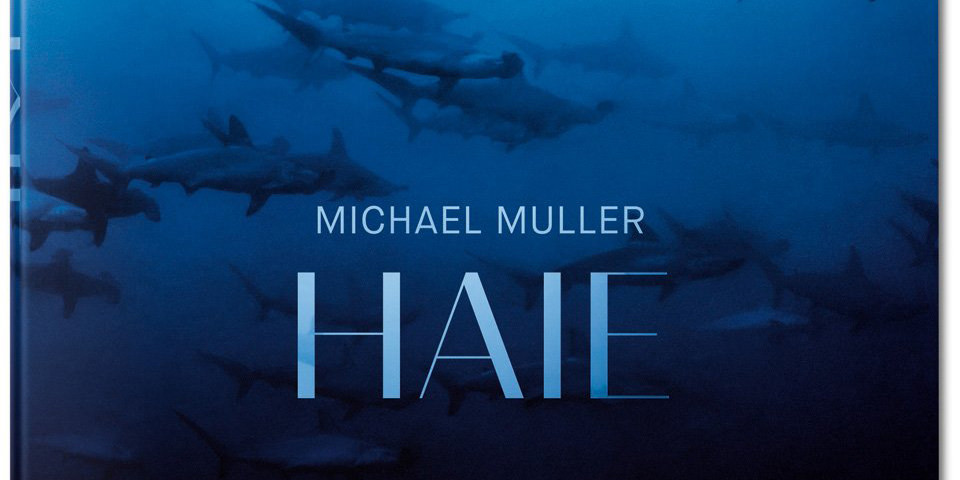 Ausschnitt eines Blau in Blau gehaltenen Buchcovers mit Haien